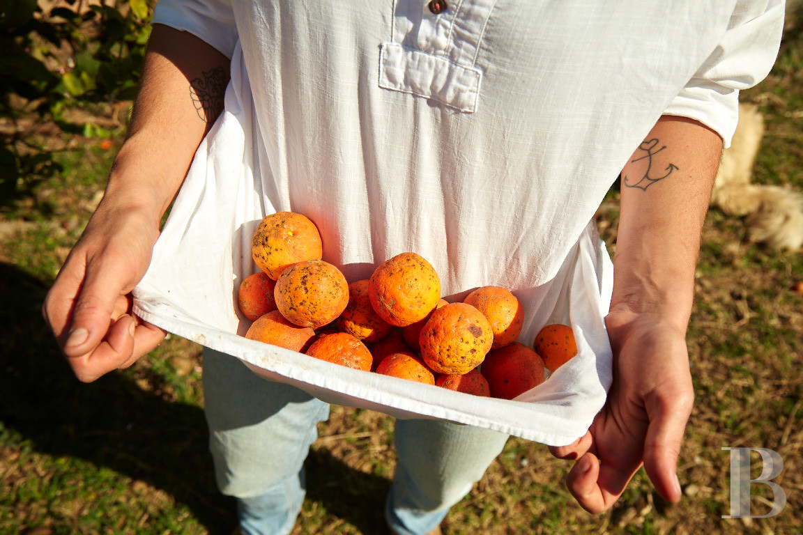 Au Brésil, dans l’État de São Paolo, une fazenda en autosubsistance dédiée à l’art et à la nature - photo  n°33